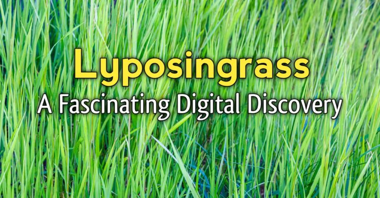 Lyposingrass