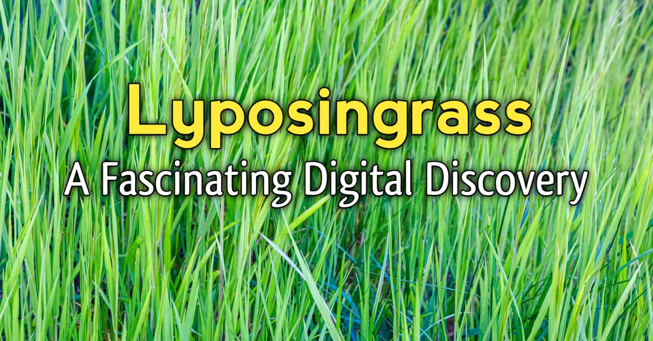 Lyposingrass