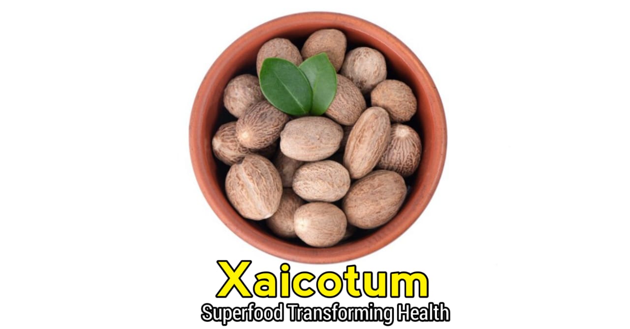 Xaicotum