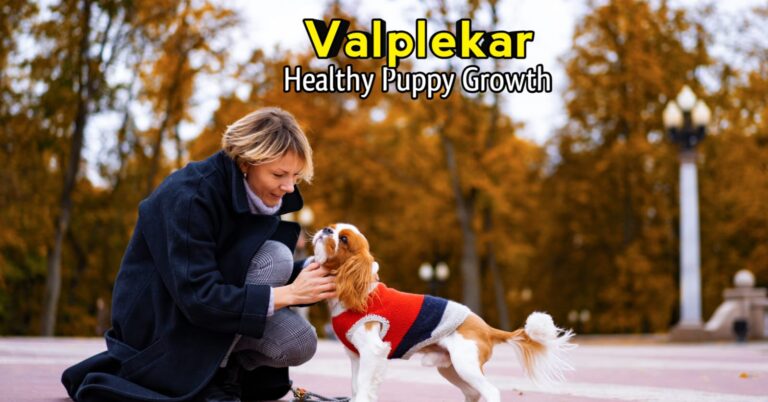 Valplekar