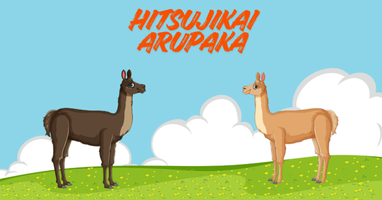 Hitsujikai Arupaka